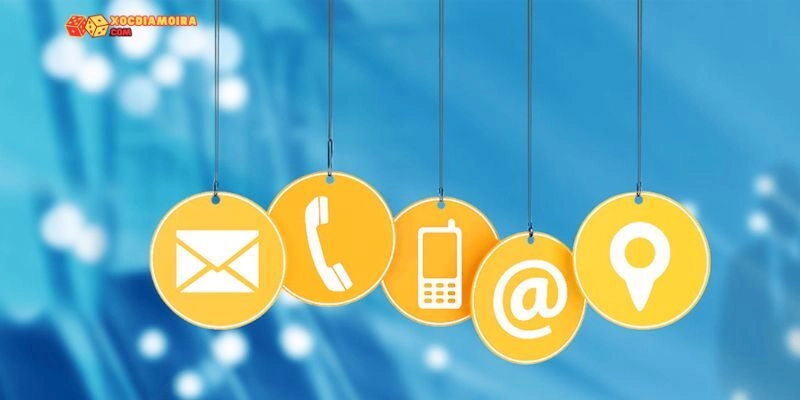 Đánh giá tính năng liên hệ của website