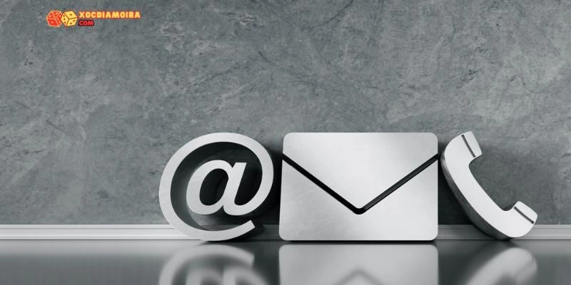 Những trường hợp cần liên hệ với nhân viên website