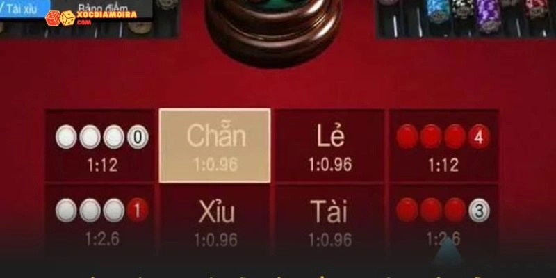 Luật pháp xóc đĩa Việt Nam về cửa cược