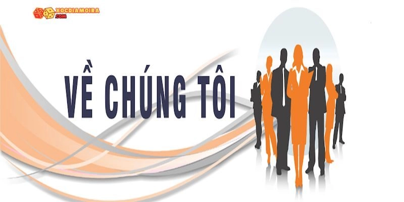 Về chúng tôi - Giới thiệu website chi tiết