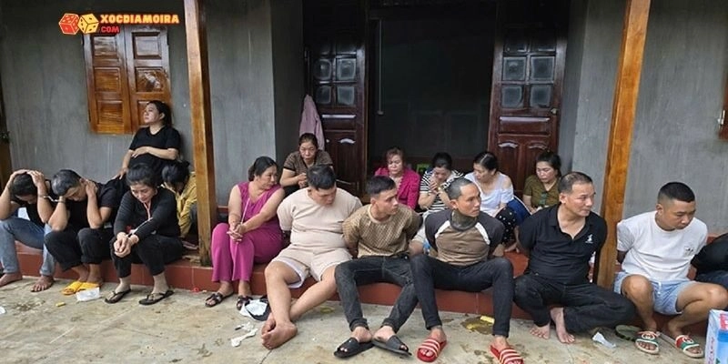 Hình phạt cho người tổ chức xóc đĩa là như thế nào